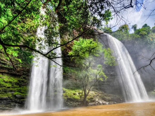 Tafi-Atome Monkey Sanctuary